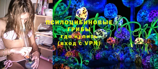 молекула духа Алексеевка