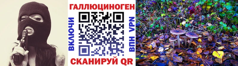 наркота  Комсомольск  маркетплейс наркотические препараты  Галлюциногенные грибы Cubensis 